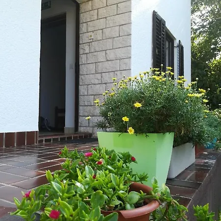 Eliva Apartment