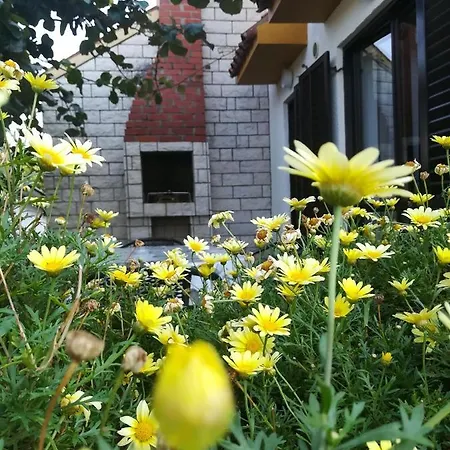 Apartment Eliva *