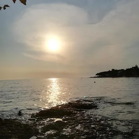 Eliva * Umag