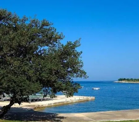 Eliva * Umag