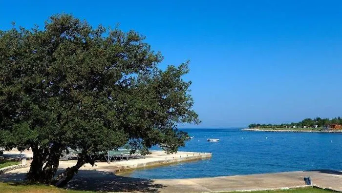 Eliva * Umag